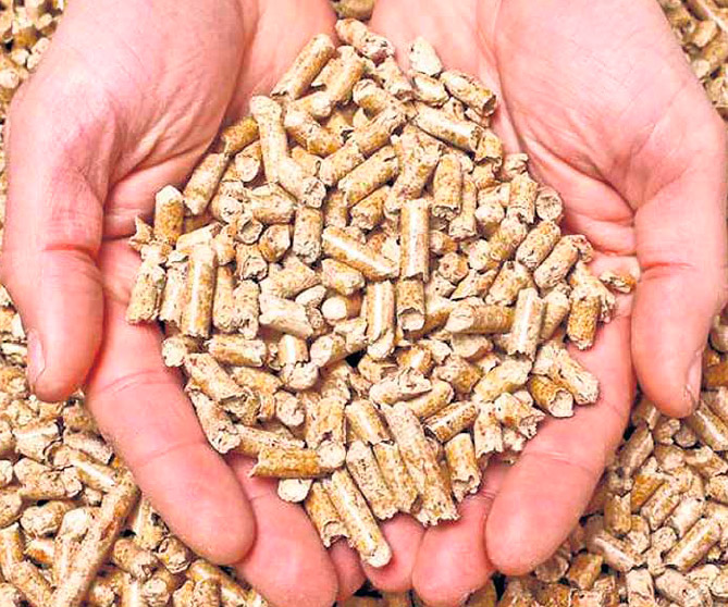 energias renovables con biomasa y pellet manos - Energías renovables. ¿De qué están hechos los pellets?
